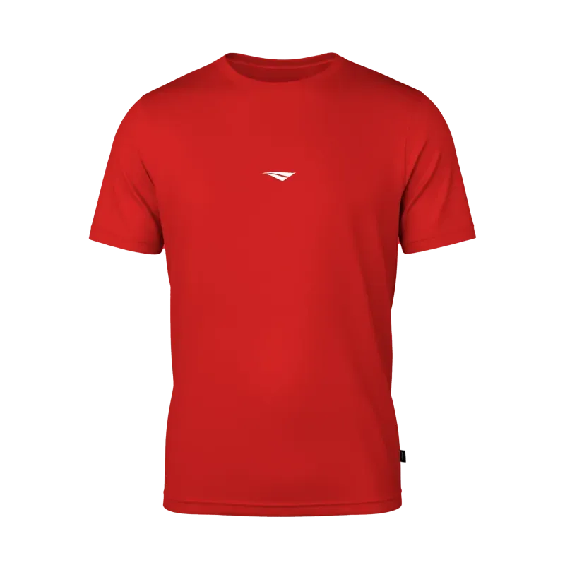 Treino Essencial Básico