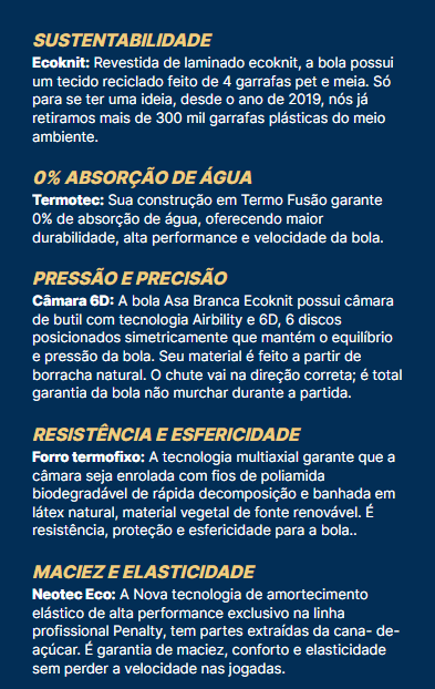 Bola Futebol de Campo Asa Branca R2 XXIII Copa Nordeste, Movento